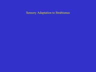 Sensory Adaptation to Strabismus 