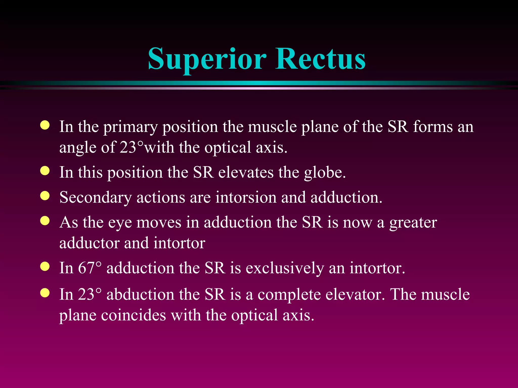 Superior Rectus In the primary position the muscle plane of the SR forms an angle of 23  with the optical axis.  In this position the SR elevates the globe. Secondary actions are intorsion and adduction. As the eye moves in adduction the SR is now a greater adductor and intortor In 67   adduction the SR is exclusively an intortor. In 23   abduction the SR is a complete elevator. The muscle plane coincides with the optical axis. 