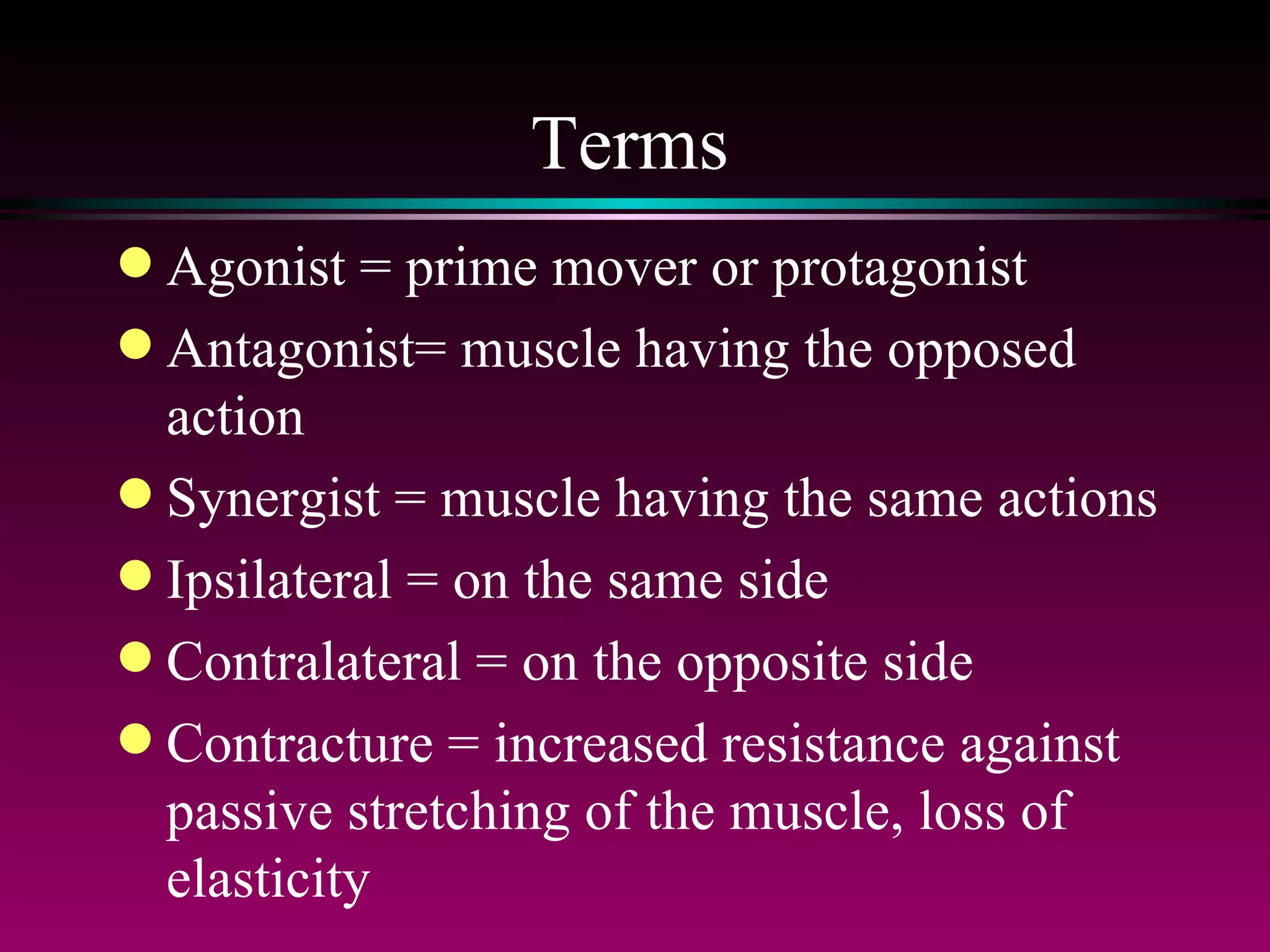 Terms Agonist = prime mover or protagonist Antagonist= muscle having the opposed action Synergist = muscle having the same actions Ipsilateral = on the same side Contralateral = on the opposite side Contracture = increased resistance against passive stretching of the muscle, loss of elasticity  