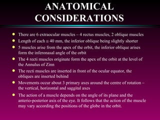 ANATOMICAL CONSIDERATIONS There are 6 extraocular muscles – 4 rectus muscles, 2 oblique muscles Length of each    40 mm, the inferior oblique being slightly shorter 5 muscles arise from the apex of the orbit, the inferior oblique arises form the inferonasal angle of the orbit The 4 recti muscles originate form the apex of the orbit at the level of the Annulus of Zinn The recti muscles are inserted in front of the ocular equator, the obliques are inserted behind Movements occur about 3 primary axes around the centre of rotation – the vertical, horizontal and saggital axes The action of a muscle depends on the angle of its plane and the anterio-posterior axis of the eye. It follows that the action of the muscle may vary according the positions of the globe in the orbit. 