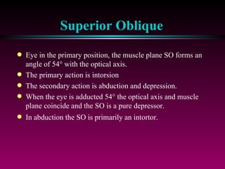 Superior Oblique Eye in the primary position, the muscle plane SO forms an angle of 54   with the optical axis.  The primary action is intorsion The secondary action is abduction and depression. When the eye is adducted 54   the optical axis and muscle plane coincide and the SO is a pure depressor. In abduction the SO is primarily an intortor. 
