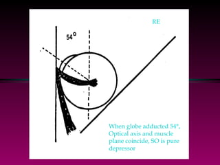 When globe adducted 54°, Optical axis and muscle  plane coincide, SO is pure  depressor RE 