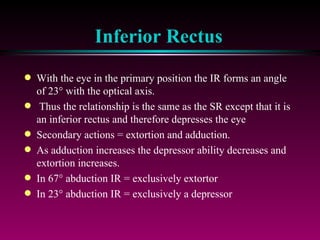 Inferior Rectus With the eye in the primary position the IR forms an angle of 23   with the optical axis. Thus the relationship is the same as the SR except that it is an inferior rectus and therefore depresses the eye Secondary actions = extortion and adduction. As adduction increases the depressor ability decreases and extortion increases. In 67   abduction IR = exclusively extortor In 23   abduction IR = exclusively a depressor 