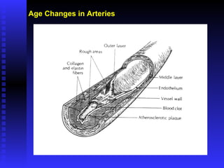 Age Changes in Arteries 