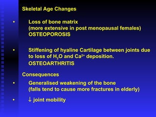 Skeletal Age Changes • Loss of bone matrix (more extensive in post menopausal females) OSTEOPOROSIS • Stiffening of hyaline Cartilage between joints due  to loss of H 2 O and Ca 2+  deposition. OSTEOARTHRITIS Consequences • Generalised weakening of the bone (falls tend to cause more fractures in elderly) •    joint mobility 
