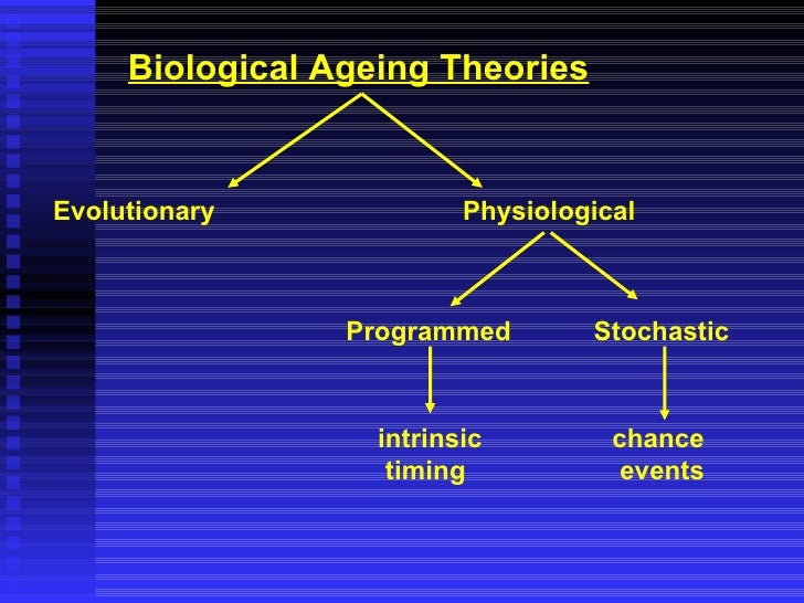 activity theory of aging example