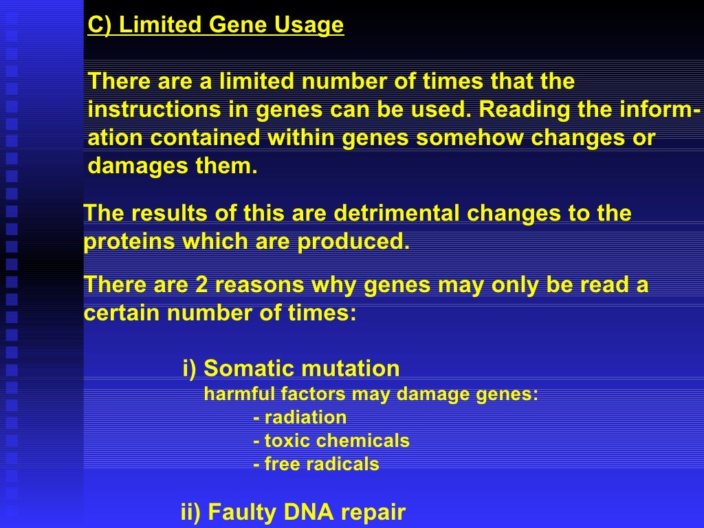 the three main theories of aging include the three main theories of aging include