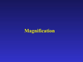 Magnification 