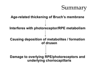 Summary Age-related thickening of Bruch’s membrane Interferes with photoreceptor/RPE metabolism Causing deposition of metabolites / formation of drusen Damage to overlying RPE/photoreceptors and underlying choriocapillaris 