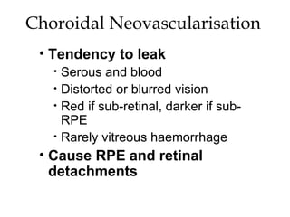 Choroidal Neovascularisation  Tendency to leak Serous and blood Distorted or blurred vision Red if sub-retinal, darker if sub-RPE Rarely vitreous haemorrhage Cause RPE and retinal detachments 