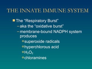 THE INNATE IMMUNE SYSTEM The “Respiratory Burst” aka the “oxidative burst” membrane-bound NADPH system produces superoxide radicals hyperchlorous acid H 2 O 2 chloramines 