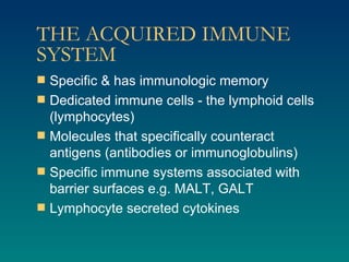 THE ACQUIRED IMMUNE SYSTEM Specific & has immunologic memory Dedicated immune cells - the lymphoid cells (lymphocytes) Molecules that specifically counteract antigens (antibodies or immunoglobulins) Specific immune systems associated with barrier surfaces e.g. MALT, GALT Lymphocyte secreted cytokines 