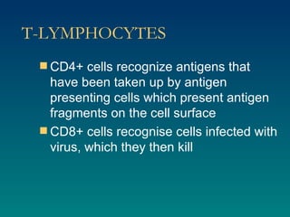 T-LYMPHOCYTES CD4+ cells recognize antigens that have been taken up by antigen presenting cells which present antigen fragments on the cell surface CD8+ cells recognise cells infected with virus, which they then kill 