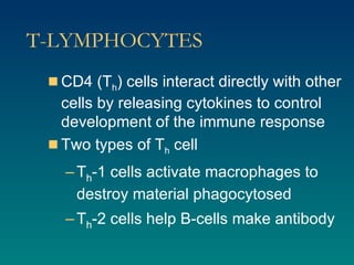 T-LYMPHOCYTES CD4 (T h ) cells interact directly with other cells by releasing cytokines to control development of the immune response Two types of T h  cell T h -1 cells activate macrophages to destroy material phagocytosed T h -2 cells help B-cells make antibody 