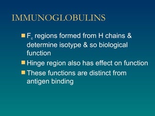 IMMUNOGLOBULINS F c  regions formed from H chains & determine isotype & so biological function Hinge region also has effect on function These functions are distinct from antigen binding 