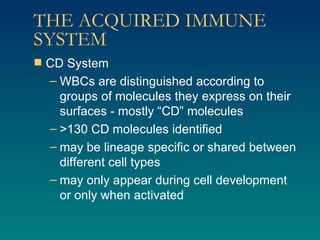 THE ACQUIRED IMMUNE SYSTEM CD System WBCs are distinguished according to groups of molecules they express on their surfaces - mostly “CD” molecules >130 CD molecules identified may be lineage specific or shared between different cell types may only appear during cell development or only when activated 