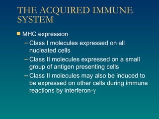 THE ACQUIRED IMMUNE SYSTEM MHC expression Class I molecules expressed on all nucleated cells Class II molecules expressed on a small group of antigen presenting cells Class II molecules may also be induced to be expressed on other cells during immune reactions by interferon-  