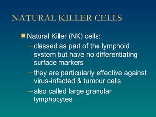 NATURAL KILLER CELLS Natural Killer (NK) cells: classed as part of the lymphoid system but have no differentiating surface markers they are particularly effective against virus-infected & tumour cells also called large granular lymphocytes 