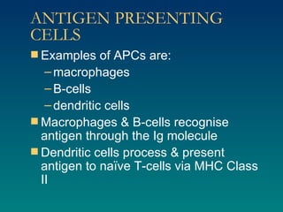 ANTIGEN PRESENTING CELLS Examples of APCs are: macrophages B-cells dendritic cells Macrophages & B-cells recognise antigen through the Ig molecule Dendritic cells process & present antigen to naïve T-cells via MHC Class II 