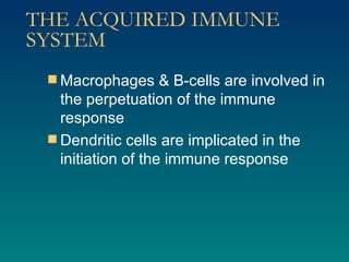 THE ACQUIRED IMMUNE SYSTEM Macrophages & B-cells are involved in the perpetuation of the immune response  Dendritic cells are implicated in the initiation of the immune response 