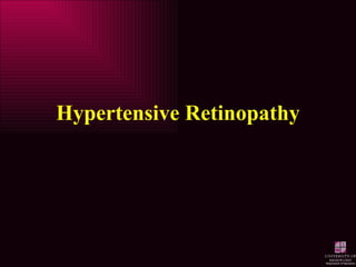 Hypertensive Retinopathy 
