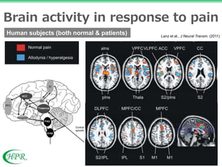 Brain Pain Risactor Functional Brain Imaging of Pain | PPTX