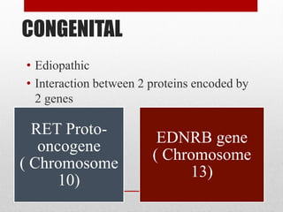 CONGENITAL
• Ediopathic
• Interaction between 2 proteins encoded by
2 genes
RET Proto-
oncogene
( Chromosome
10)
EDNRB gene
( Chromosome
13)
 