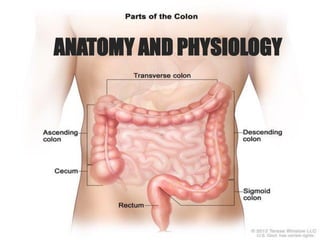 ANATOMY AND PHYSIOLOGY
 