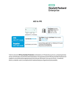 AES Vs FPE
Tutte le soluzioni HPSecurityData Protection condividonoun'infrastrutturacomune,compresi gli stessi
servercentralizzati e strumenti di amministrazione.Ciòconsenteai clienti HPSecurityData Protection di
scegliere unacombinazioneappropriatadi tecniche peraffrontarei lorocasi di utilizzo, inambienti
diversi,evitandoi costi e la complessitàdi implementazionee di gestionedi piùprodotti.
 