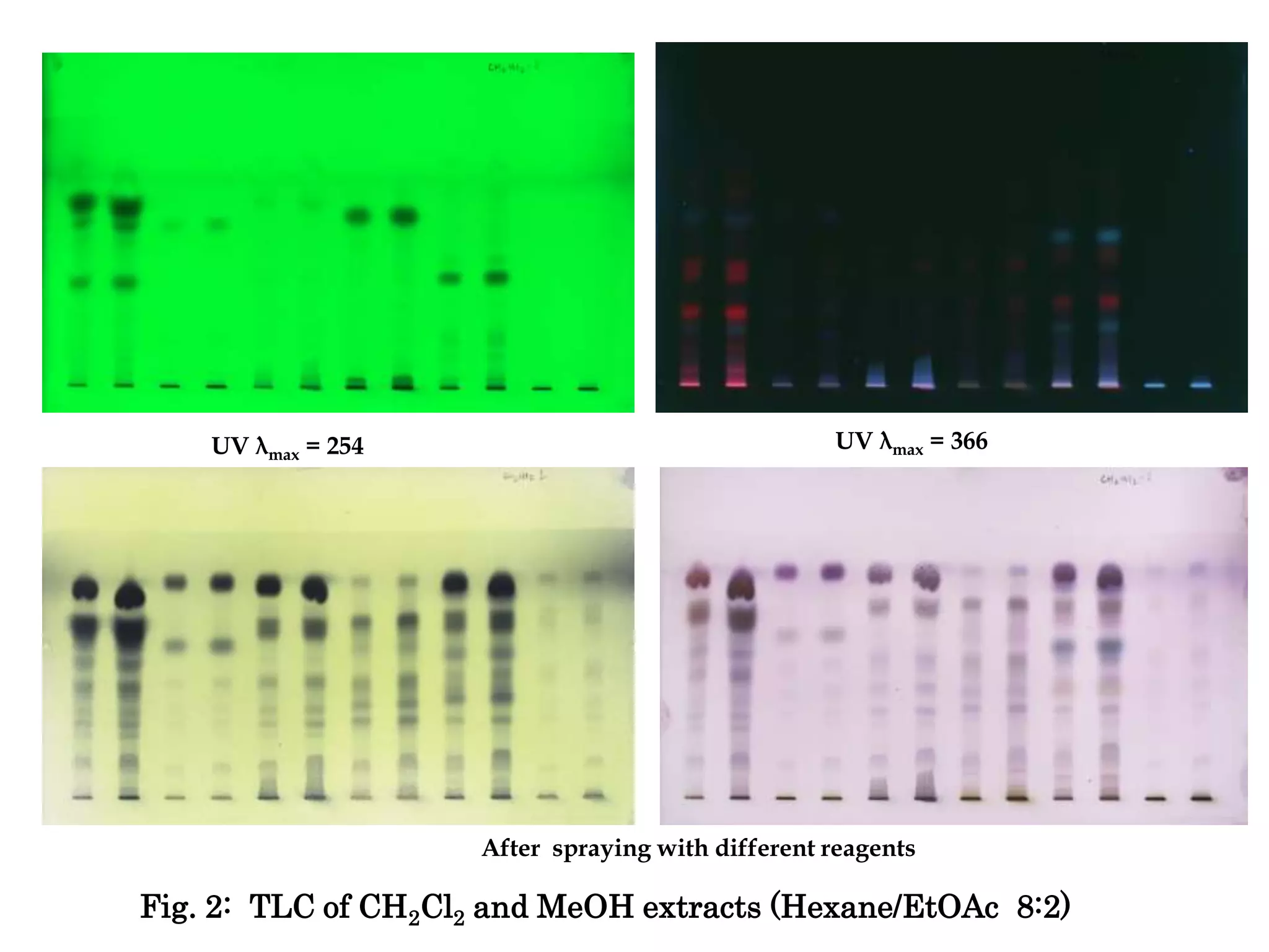 Fig. 2: TLC of CH2Cl2 and MeOH extracts (Hexane/EtOAc 8:2)
UV λmax = 254 UV λmax = 366
After spraying with different reagents
 