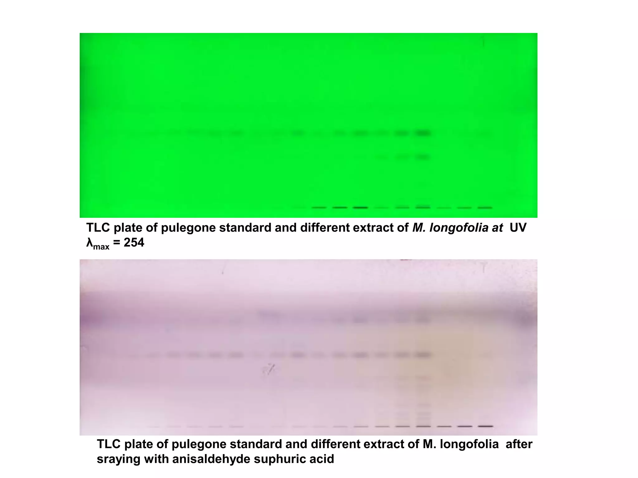 TLC plate of pulegone standard and different extract of M. longofolia at UV
λmax = 254
TLC plate of pulegone standard and different extract of M. longofolia after
sraying with anisaldehyde suphuric acid
 