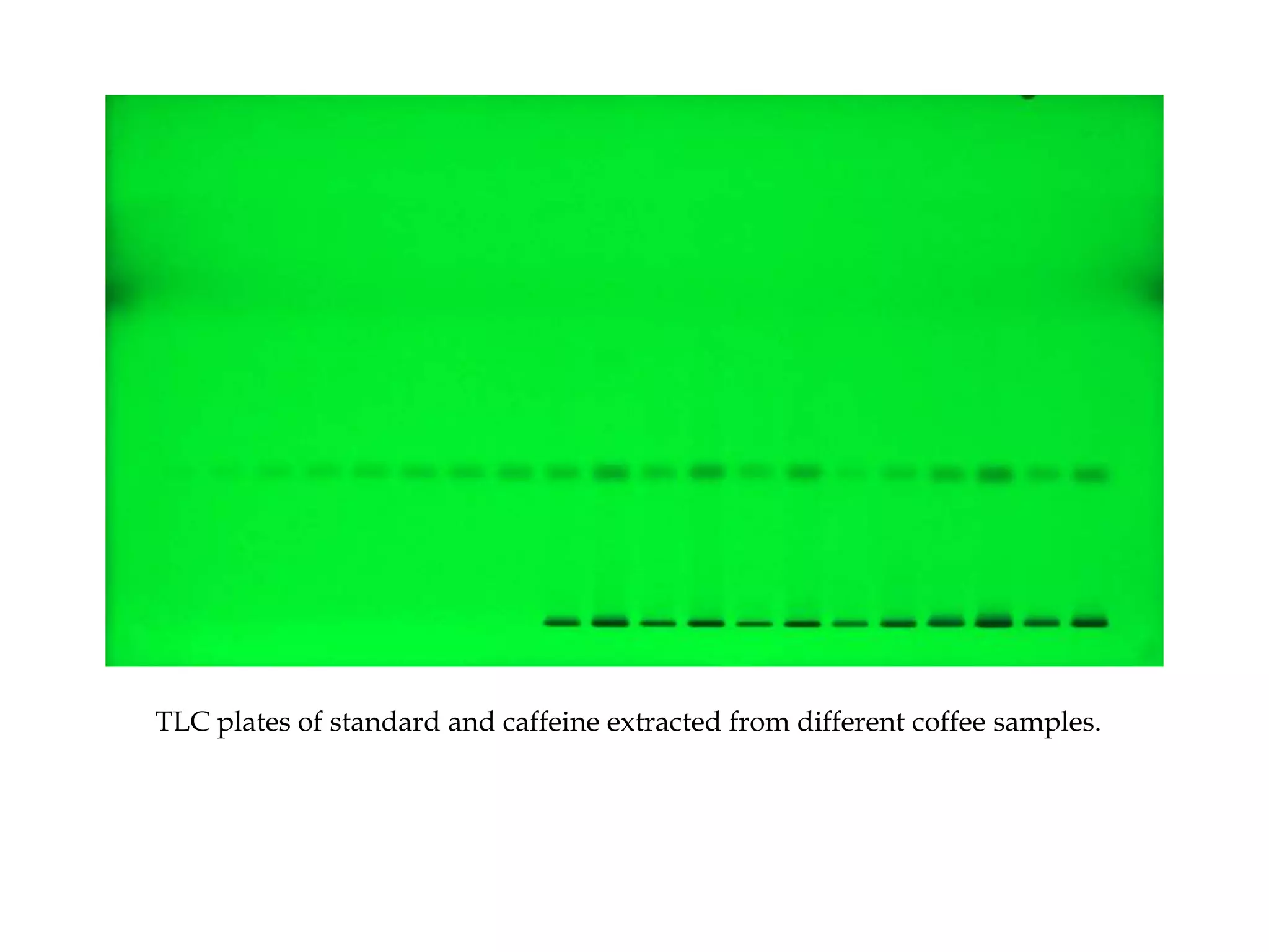 TLC plates of standard and caffeine extracted from different coffee samples.
 