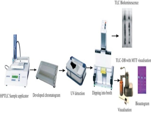 High performance thin layer chromatography HPTLC.pptx