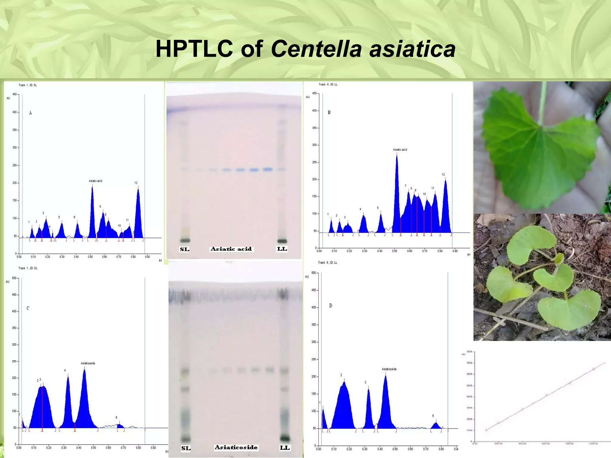 HPTLC of Centella asiatica
 