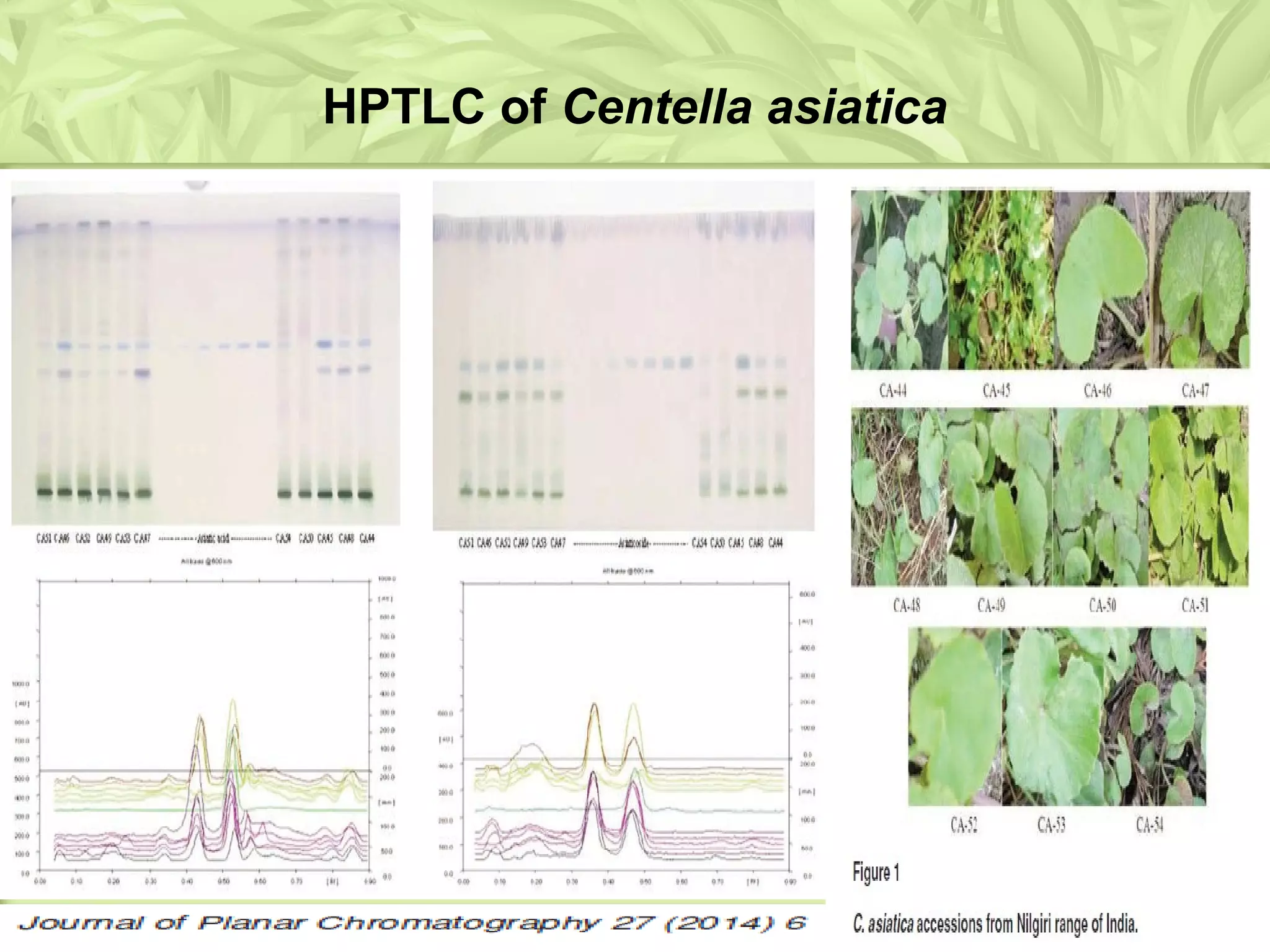 HPTLC of Centella asiatica
 