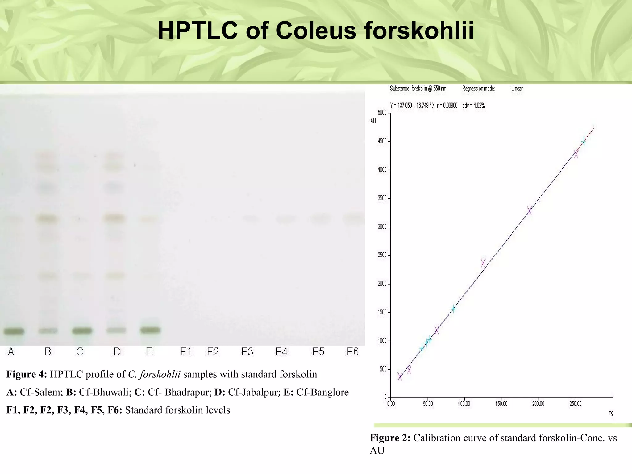 Figure 4: HPTLC profile of C. forskohlii samples with standard forskolin
A: Cf-Salem; B: Cf-Bhuwali; C: Cf- Bhadrapur; D: Cf-Jabalpur; E: Cf-Banglore
F1, F2, F2, F3, F4, F5, F6: Standard forskolin levels
Figure 2: Calibration curve of standard forskolin-Conc. vs
AU
HPTLC of Coleus forskohlii
 