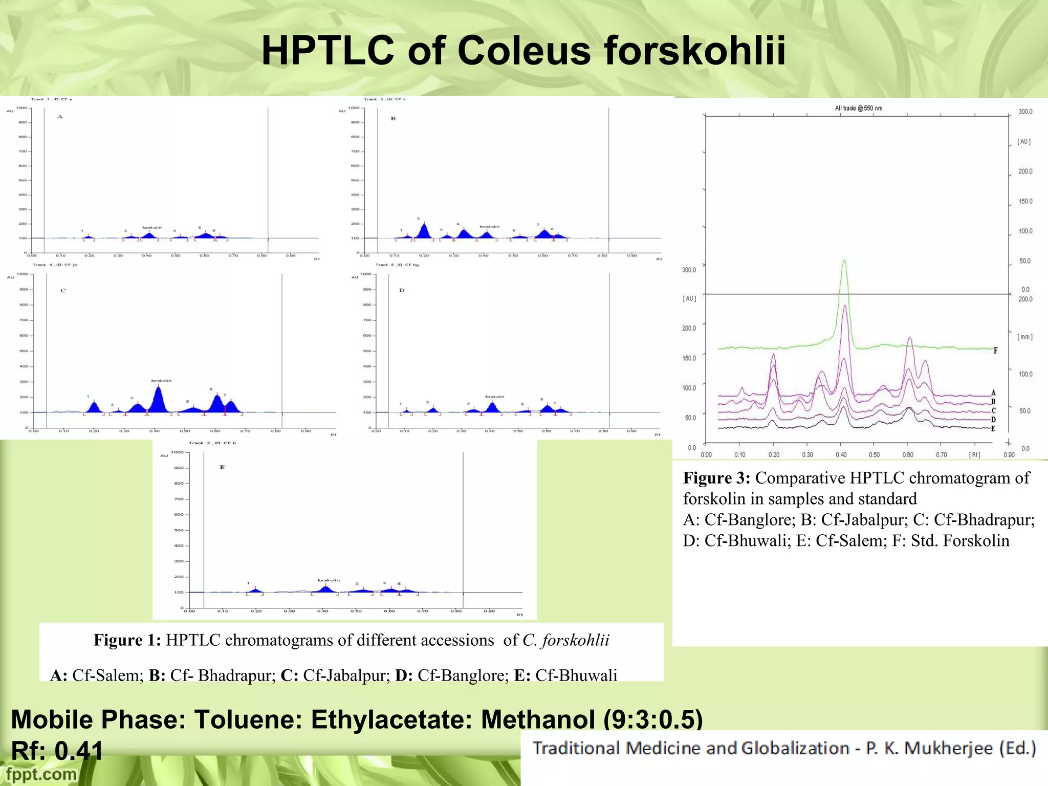 Mobile Phase: Toluene: Ethylacetate: Methanol (9:3:0.5)
Rf: 0.41
HPTLC of Coleus forskohlii
Figure 3: Comparative HPTLC chromatogram of
forskolin in samples and standard
A: Cf-Banglore; B: Cf-Jabalpur; C: Cf-Bhadrapur;
D: Cf-Bhuwali; E: Cf-Salem; F: Std. Forskolin
Figure 1: HPTLC chromatograms of different accessions of C. forskohlii
A: Cf-Salem; B: Cf- Bhadrapur; C: Cf-Jabalpur; D: Cf-Banglore; E: Cf-Bhuwali
 