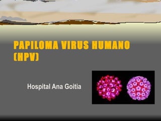 PAPILOMA VIRUS HUMANO (HPV) Hospital Ana Goitia 