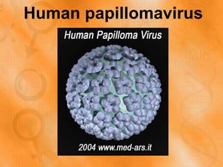 Human papillomavirus
 