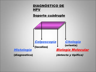 DIAGNÓSTICO DE
                HPV
                Soporte cuádruple




                Colposcopía         Citología
                                    (orienta)
                (localiza)
Histología                    Biología Molecular
(diagnostica)                 (detecta y tipifica)
 