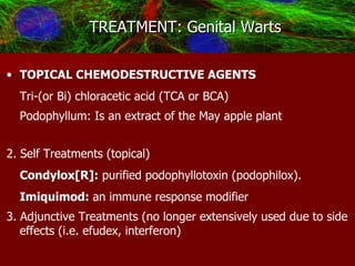 TREATMENT: Genital Warts TOPICAL CHEMODESTRUCTIVE AGENTS   Tri-(or Bi) chloracetic acid (TCA or BCA)  Podophyllum: Is an extract of the May apple plant   2. Self Treatments (topical) Condylox[R]:  purified podophyllotoxin (podophilox).  Imiquimod:  an immune response modifier 3. Adjunctive Treatments (no longer extensively used due to side effects (i.e. efudex, interferon)   