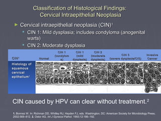 Human Papilloma Virus : Cervical Cancer and Vaccines | PPT