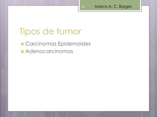 Tipos de tumor
 Carcinomas Epidemoides
 Adenocarcinomas
Marco A. C. Borges18
 