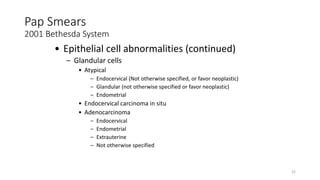 22
Pap Smears
2001 Bethesda System
• Epithelial cell abnormalities (continued)
– Glandular cells
• Atypical
– Endocervical (Not otherwise specified, or favor neoplastic)
– Glandular (not otherwise specified or favor neoplastic)
– Endometrial
• Endocervical carcinoma in situ
• Adenocarcinoma
– Endocervical
– Endometrial
– Extrauterine
– Not otherwise specified
 