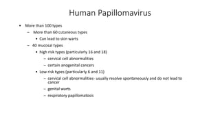 Human Papillomavirus
• More than 100 types
– More than 60 cutaneous types
• Can lead to skin warts
– 40 mucosal types
• high risk types (particularly 16 and 18)
– cervical cell abnormalities
– certain anogenital cancers
• Low risk types (particularly 6 and 11)
– cervical cell abnormalities- usually resolve spontaneously and do not lead to
cancer
– genital warts
– respiratory papillomatosis
 