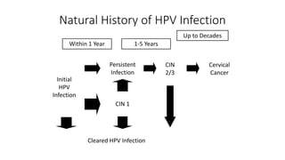 Natural History of HPV Infection
Within 1 Year 1-5 Years
Up to Decades
Initial
HPV
Infection
Persistent
Infection
CIN
2/3
Cervical
Cancer
CIN 1
Cleared HPV Infection
 