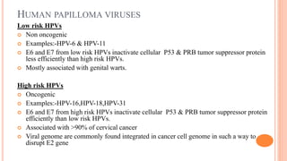 Hpv | PPTX