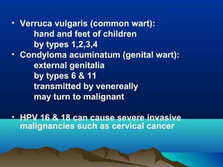 • Verruca vulgaris (common wart):
hand and feet of children
by types 1,2,3,4
• Condyloma acuminatum (genital wart):
external genitalia
by types 6 & 11
transmitted by venereally
may turn to malignant
• HPV 16 & 18 can cause severe invasive
malignancies such as cervical cancer
 