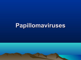 PapillomavirusesPapillomaviruses
 