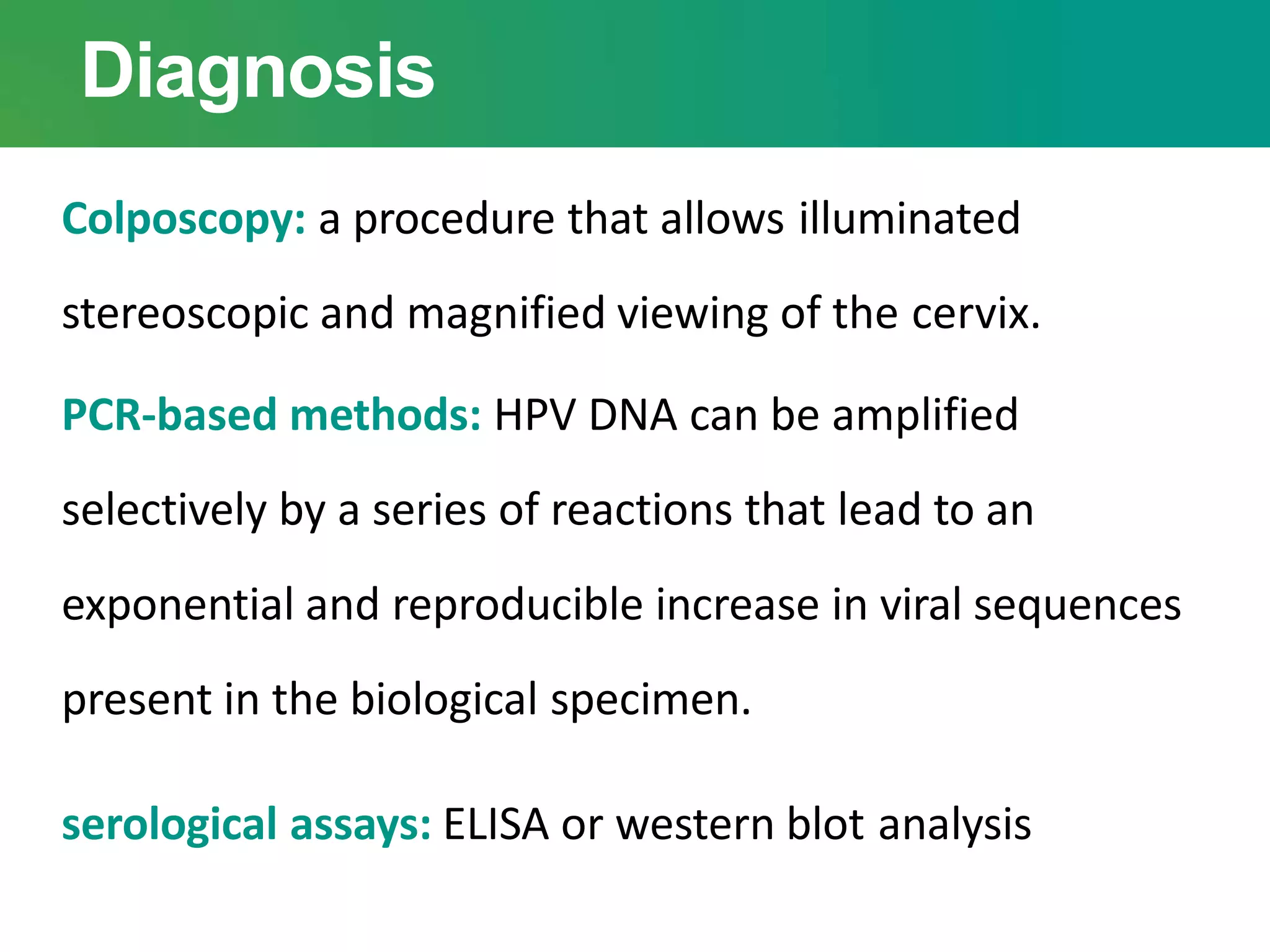 Diagnosis
Colposcopy: a procedure that allows illuminated
stereoscopic and magnified viewing of the cervix.
PCR-based methods: HPV DNA can be amplified
selectively by a series of reactions that lead to an
exponential and reproducible increase in viral sequences
present in the biological specimen.
serological assays: ELISA or western blot analysis
